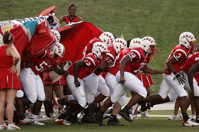 多样化的旅 多样化的旅