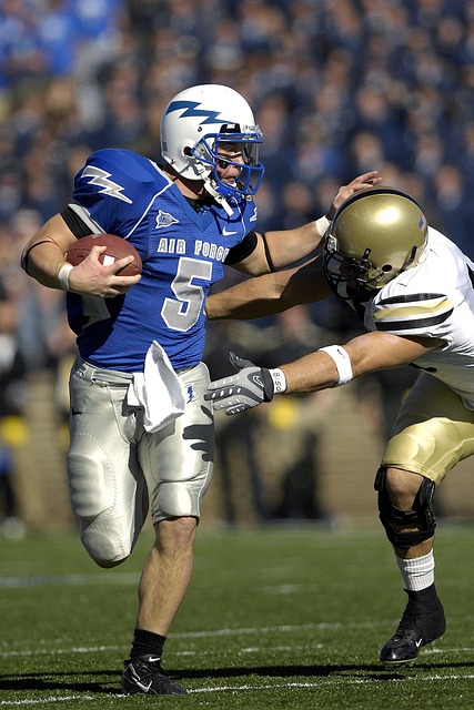 取得了胜利 取得了胜利